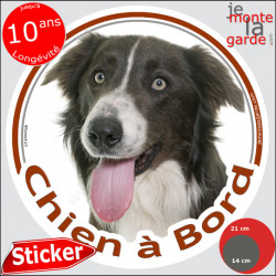 Border Collie brun, sticker voiture "Chien à Bord" 2 tailles