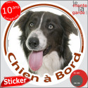 Border Collie brun, sticker voiture rond "Chien à Bord" 2 tailles D