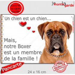 Boxer Fauve, plaque photo "Membre de la Famille" 24 cm LOV