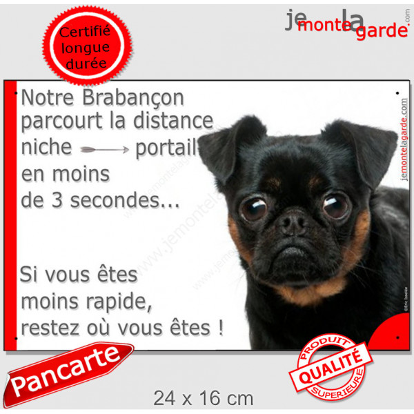 Brabançon noir et feu, plaque humour "parcourt distance Niche-Portail moins 3 secondes, rapide" pancarte photo attention chien