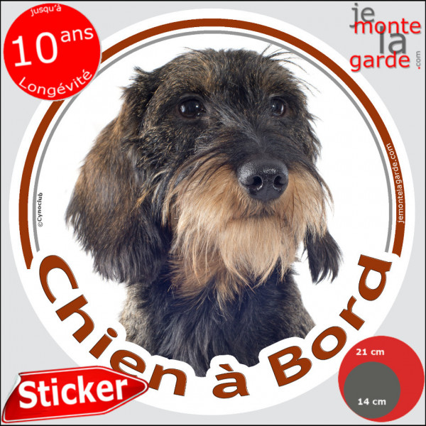 Teckel marron sanglier à poils durs, sticker autocollant rond "Chien à Bord" Disque adhésif vitre voiture photo