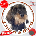 Teckel poils durs, sticker voiture rond "Chien à Bord" 2 tailles D