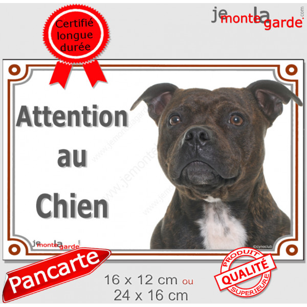 Staffie bringé Tête, plaque portail "Attention au Chien" pancarte Staffy affiche photo race bringué Staffordshire Bull Terrier