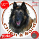 Berger Belge Tervueren, sticker autocollant rond "Chien à Bord" Disque photo adhésif vitre voiture