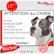 Amstaff gris bleu & blanc, Sticker humour "Attention au Chien, montre, jetez-vous au sol et attendez secours" autocollant photo