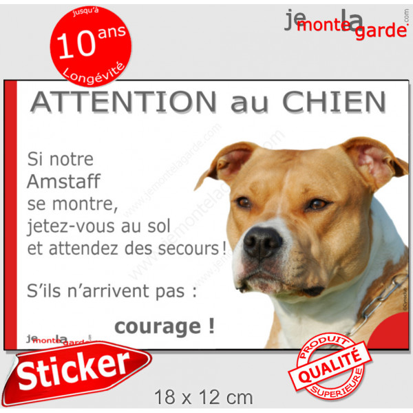 Amstaff fauve & blanc, Sticker humour "Attention au Chien, montre, jetez-vous au sol et attendez secours" autocollant photo