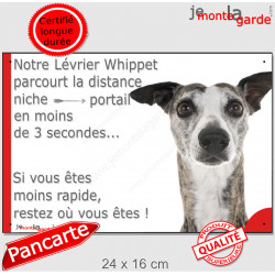 Whippet bringé, plaque humour "distance Niche - Portail 3 secondes" 24 cm 3SEC