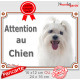 Bichon Maltais tête, plaque portail "Attention au Chien" pancarte photo panneau affiche