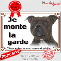 Staffie bringé, plaque portail "Je Monte la Garde, risques périls" 2 tailles LUX D