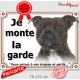 Staffie bringé tête, plaque portail "Je Monte la Garde, risques périls" panneau affiche pancarte, photo staffy zébré