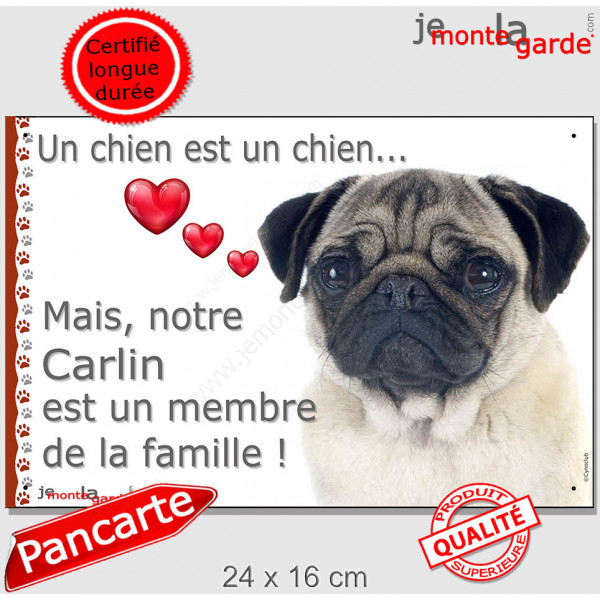 Carlin fauve, plaque photo "Chien Membre de la Famille" pancarte panneau coeur idée cadeau attention au chien