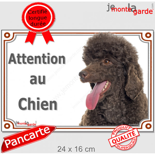 Caniche Marron Chocolat Tête , plaque portail "Attention au Chien" pancarte panneau photo caniche nain brun