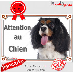 Cavalier King Charles tricolore, plaque portail "Attention au Chien" 2 tailles Lux D