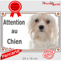 Bichon Maltais tête, plaque portail "Attention au Chien" pancarte photo panneau affiche