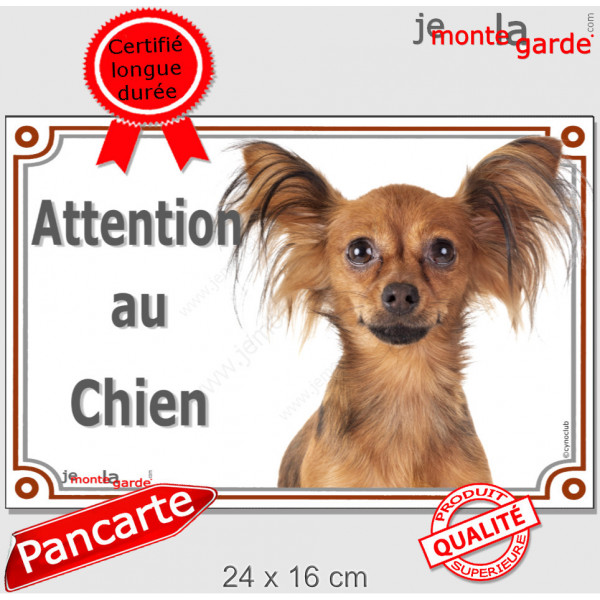 Russkiy Toy fauve marron, plaque portail "Attention au Chien" pancarte panneau petit chien russe