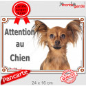 Russkiy Toy fauve, plaque portail "Attention au Chien" 24 cm LUX