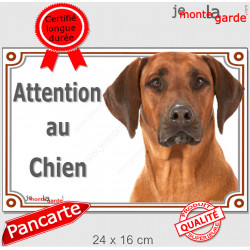 Rhodesian Ridgeback, plaque portail photo "Attention au Chien" pancarte panneau