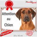 Rhodesian Ridgeback, plaque portail "Attention au Chien" 24 cm LUX