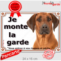 Rhodesian Ridgeback, plaque portail "Je Monte la Garde, risques périls" 24 cm LUX