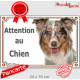 Berger Australien Rouge Merle tricolore, Plaque portail "Attention au Chien" panneau affiche, pancarte photo aussie