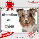 Berger Australien Rouge Merle, plaque portail "Attention au Chien" 24 cm LUX