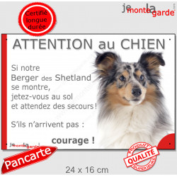 Berger Shetland Bleu Merle, plaque portail humour "Attention au Chien, Jetez Vous au Sol" 24 cm JET