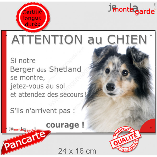 Berger Shetlands Bleu Merle, plaque portail humour "Attention au Chien, Jetez Vous au Sol, attendez secours, courage" photo