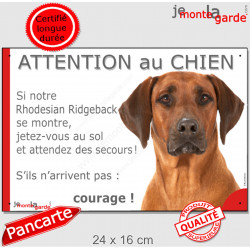 Rhodesian Ridgeback, plaque humour "Jetez Vous au Sol, Attention au Chien" 24 cm JET