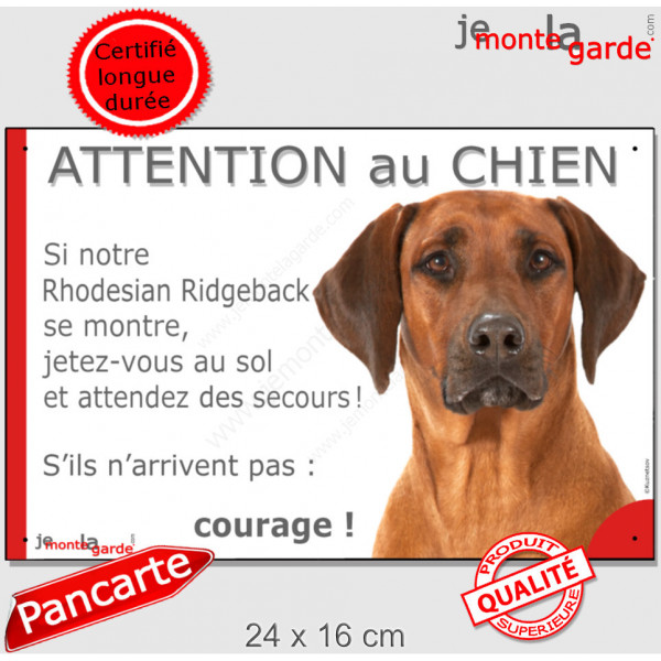 Rhodesian Ridgeback, plaque portail humour "Attention au Chien, Jetez Vous au Sol, attendez secours, courage" pancarte photo