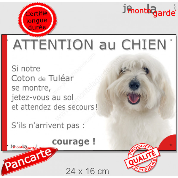 Coton de Tuléar tout blanc, plaque portail humour "Attention au Chien, Jetez Vous au Sol, attendez secours, courage" photo