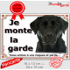 Labrador Noir, plaque portail "Je Monte la Garde, risques et périls" pancarte attention au chien panneau affiche photo