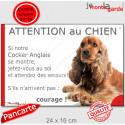 Cocker Anglais Golden, plaque portail humour "Attention au Chien, Jetez Vous au Sol" 24 cm JET