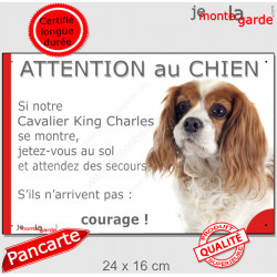 Cavalier King Charles Blenheim, plaque portail humour "Attention au Chien, Jetez Vous au Sol" 24 cm JET