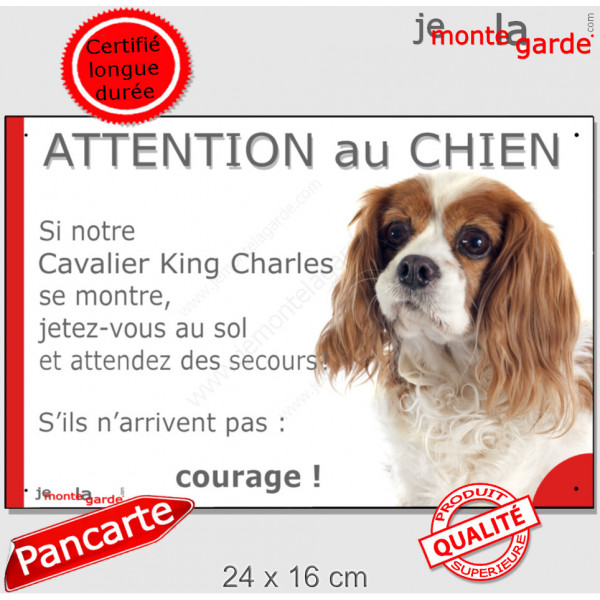 Cavalier King Charles Blenheim, plaque portail humour "Attention au Chien, Jetez Vous au Sol, attendez secours, courage" 