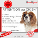 Cavalier King Charles Blenheim, plaque portail humour "Attention au Chien, Jetez Vous au Sol" 24 cm JET