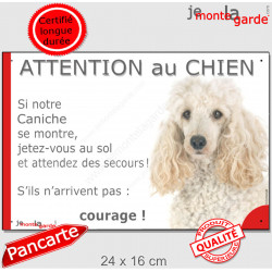 Caniche blanc, plaque portail humour "Attention au Chien, Jetez Vous au Sol" 24 cm JET