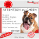 Bulldog Anglais blanc et fauve, plaque portail humour "Attention au Chien, Jetez Vous au Sol, attendez secours, courage" photo