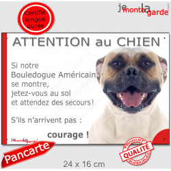 Bouledogue Américain fauve, plaque humour "Attention au Chien", Jetez Vous au Sol" 24 cm