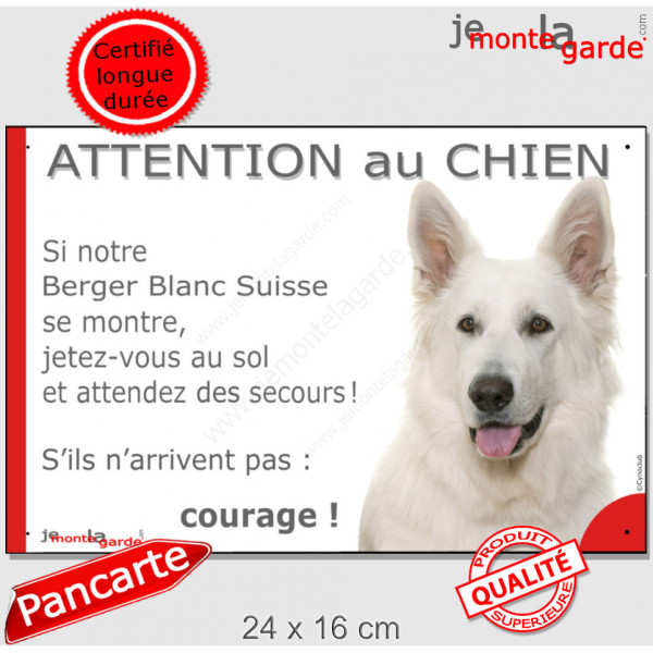 Berger Blanc Suisse, plaque portail humour "Attention au Chien, jetez-vous au sol, secours, courage" BBS photo