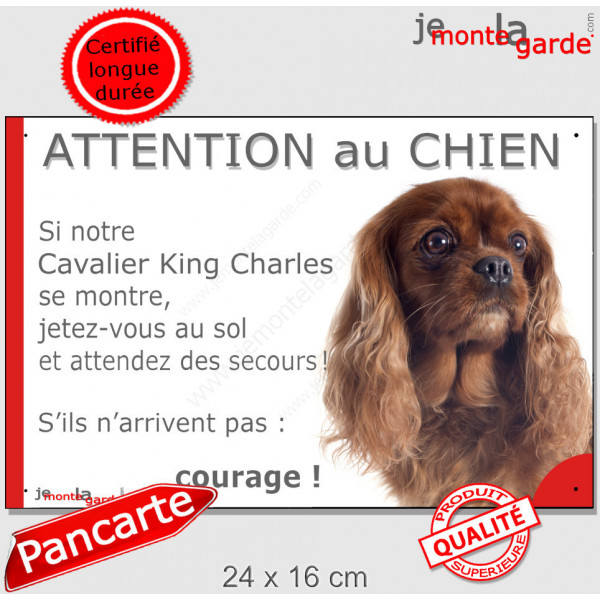 Cavalier King Charles rubis marron, plaque portail humour "Attention au Chien, Jetez Vous au Sol, attendez secours, courage" 