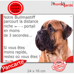 Bullmastiff fauve, plaque humour "parcourt distance Niche-Portail 3 secondes" 24 cm 3SEC