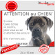 Cane Corso gris bleu, plaque humour "Attention au Chien, Jetez Vous au Sol, courage" pancarte panneau drôle photo