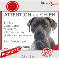 Cane Corso gris bleu, plaque humour "Attention au Chien, Jetez Vous au Sol, courage" pancarte panneau drôle photo