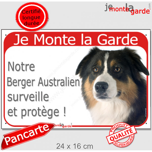 Berger Australien Tricolore Noir, Panneau Portail Rouge "Je Monte la Garde, surveille protège" photo Aussie