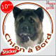 Akita américain bringé et blanc Tête, sticker rond voiture "Chien à Bord" Disque photo autocollant bringué marron