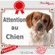 Epagneul Breton blanc et orange Tête, plaque portail "Attention au Chien" panneau pancarte photo