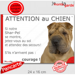 Shar-Peï fauve marron, plaque humour "Attention au Chien, Jetez Vous au Sol, courage" pancarte panneau drôle sharpei photo