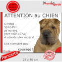 Shar-Peï fauve, plaque portail humour "Attention au Chien, Jetez Vous au Sol" 24 cm