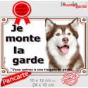 Husky marron, plaque portail "Je Monte la Garde, risques périls" 2 tailles LUX D