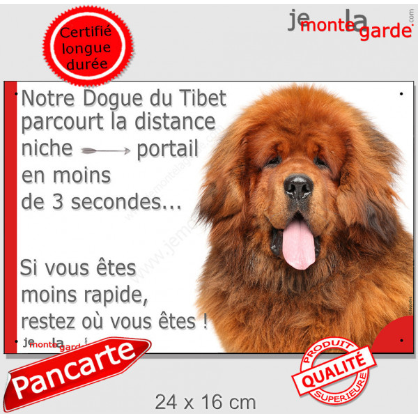 Dogue du Tibet fauve rouge, plaque humour "parcourt distance Niche-Portail moins 3 secondes, rapide" pancarte photo attention 